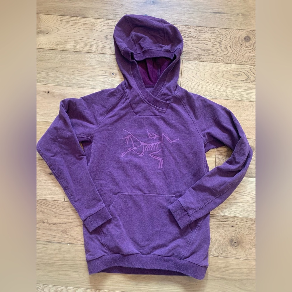 Arc’teryx cotton hoody